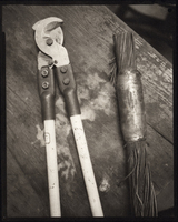 Diptych 2 of 2