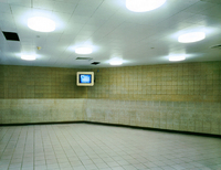 New York Tech College, Brooklyn, New York