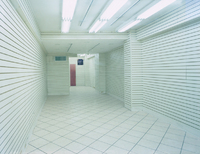 Slat Wall, 57th Street & Madison Ave., NY, New York