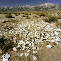 Manzanar, California