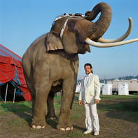 Elephant Trainer, Los Angeles