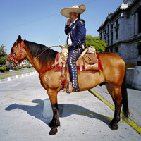 Traditional Police Constable, Mexico City
